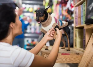 Pets and Pet Care