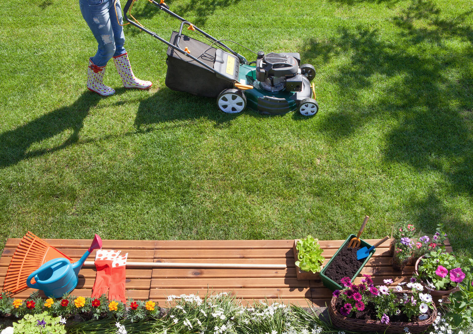 Pest Control Newport OR – pest control services