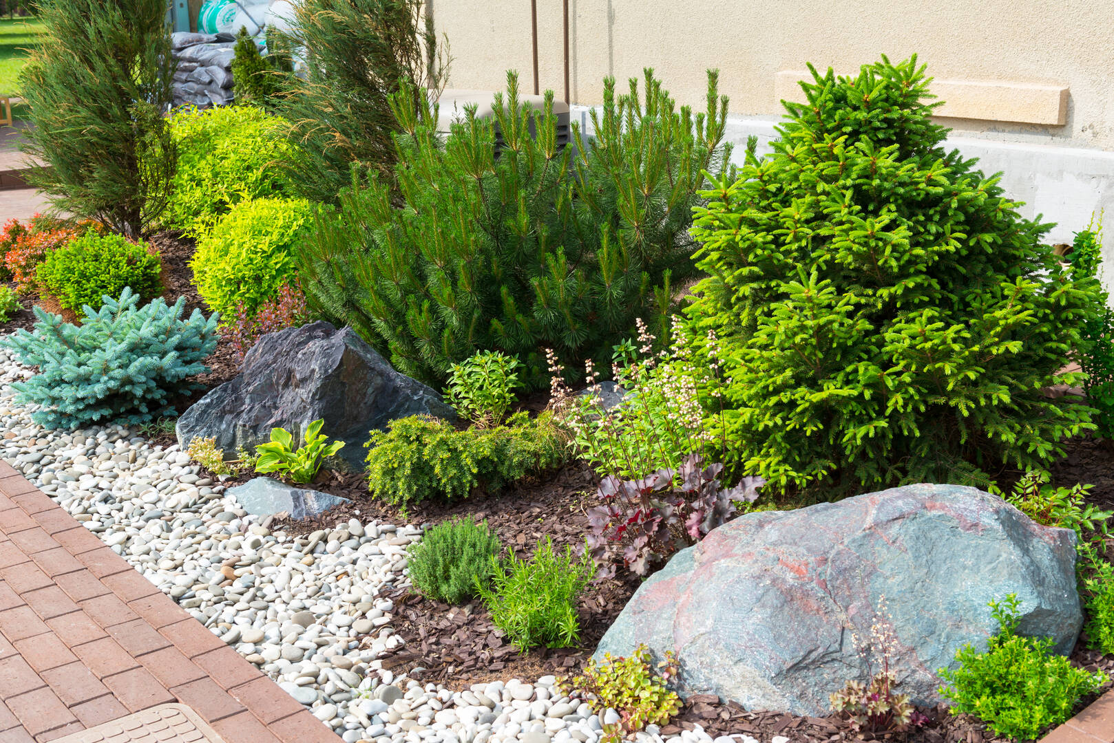 Tree Care Services Lorain Oh