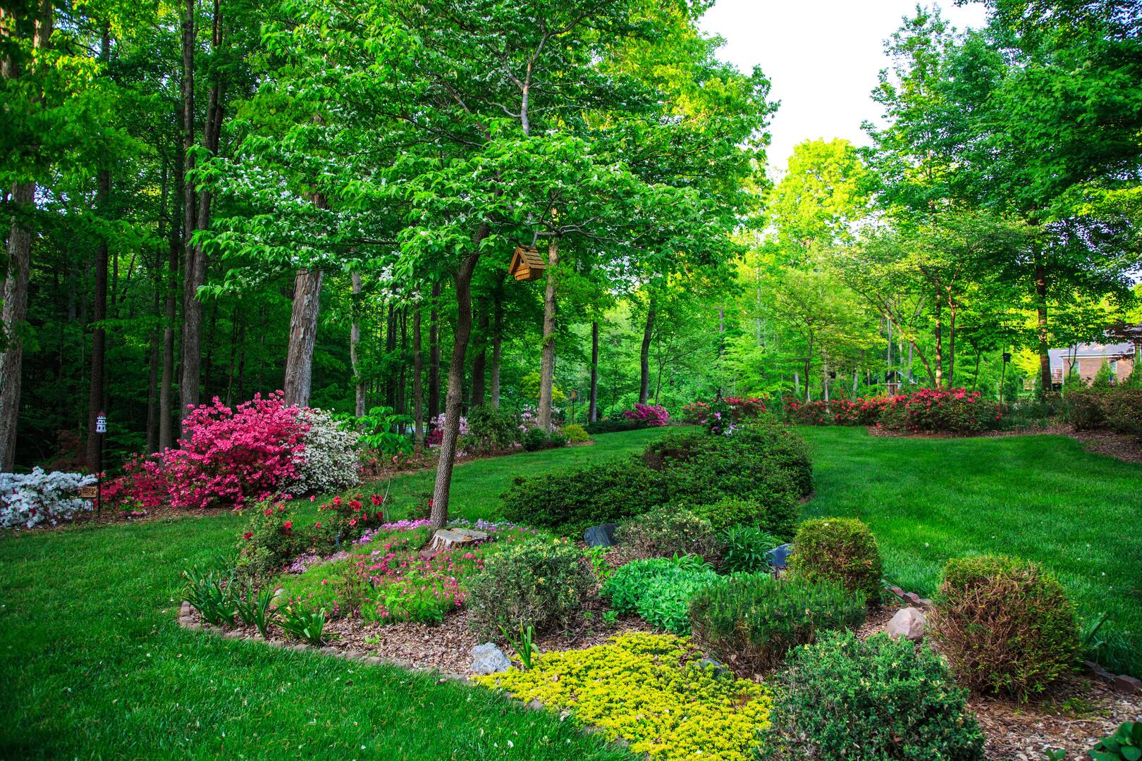 Expert Landscape Construction in Caseyville IL