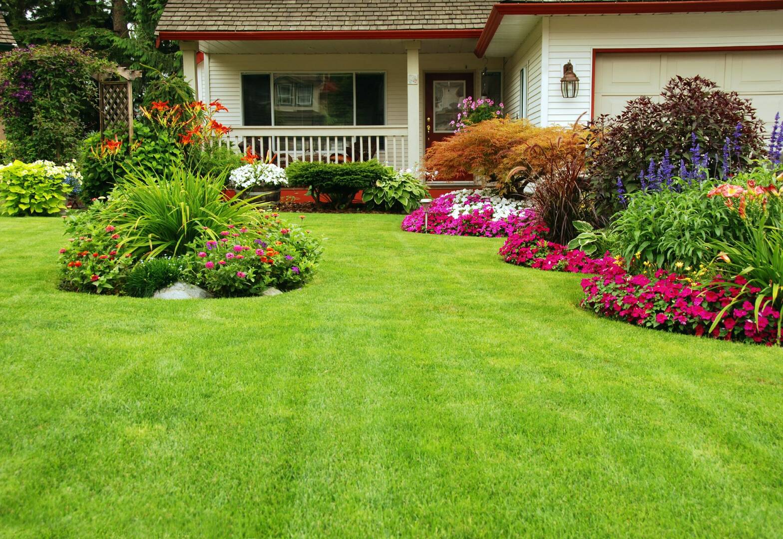 Termite Control Newport News VA