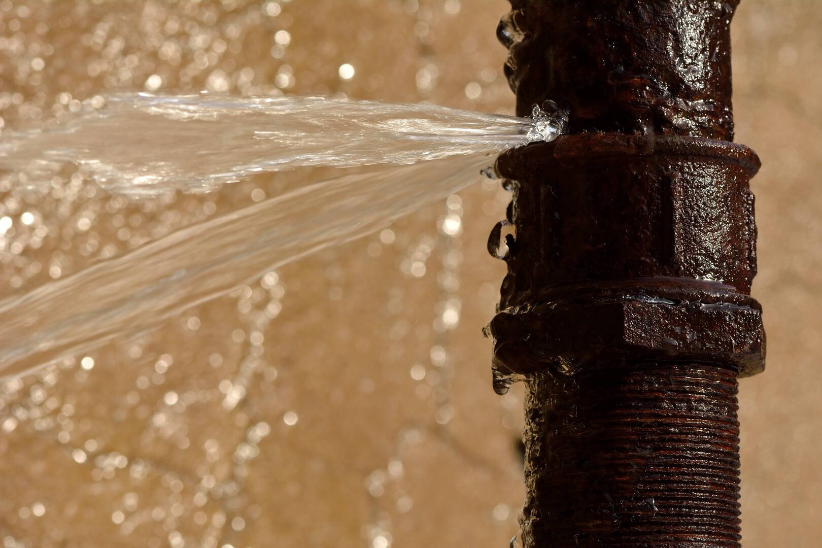 Plumbing Company South Lyon MI