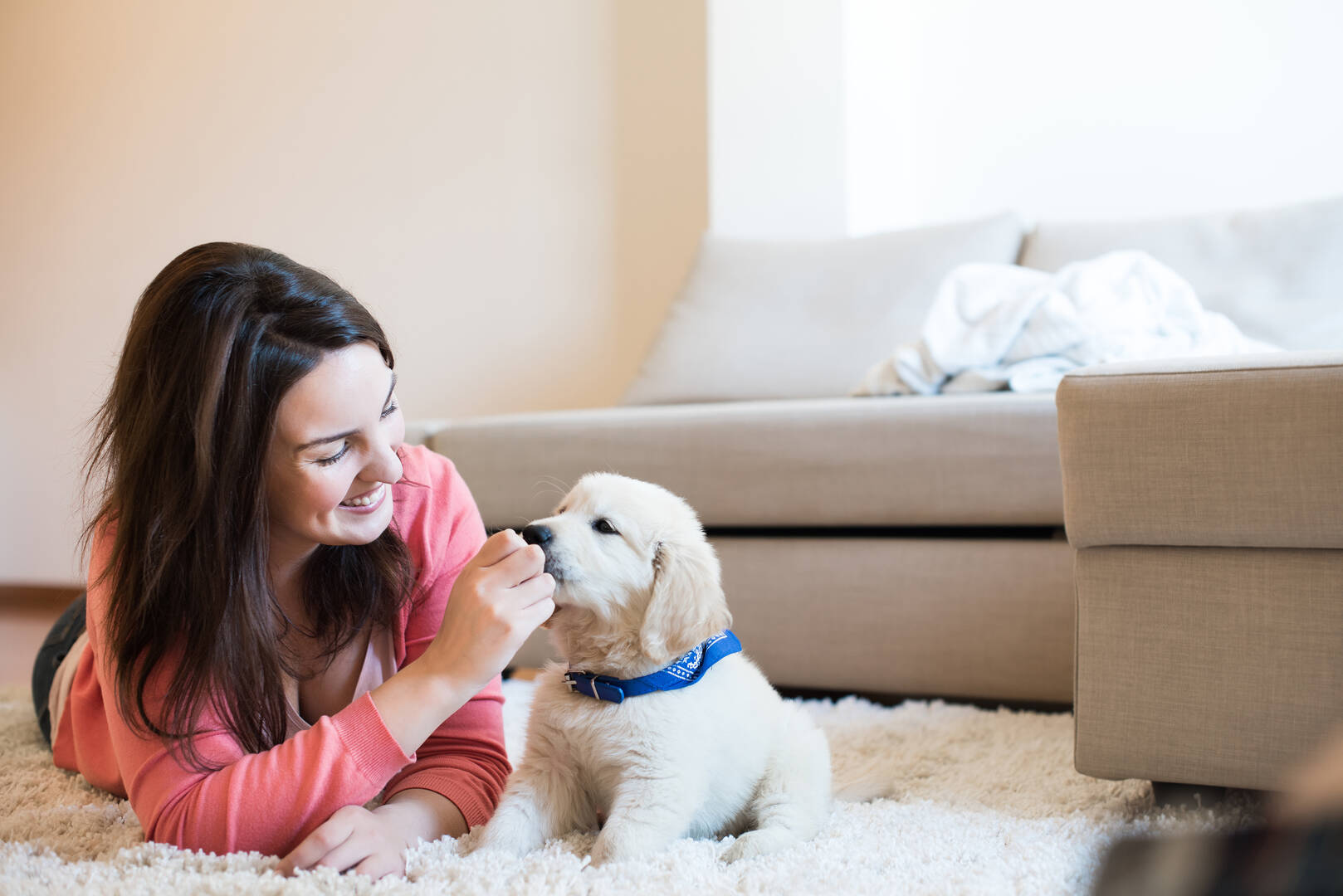Animal Care Hospital Chattanooga TN